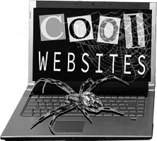 cool websites